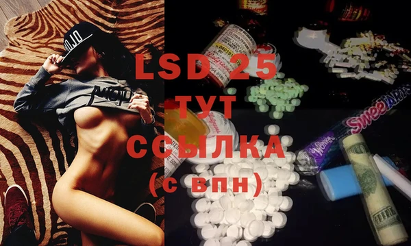 спиды Сосновка