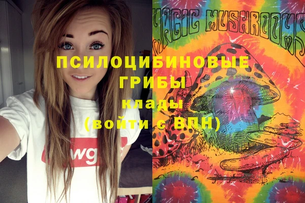 стаф Навашино