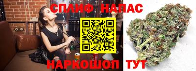 твердый Коммунар