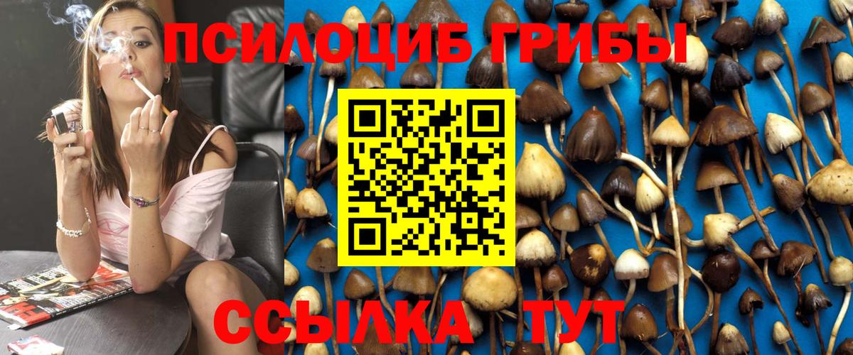Псилоцибиновые грибы Cubensis  Вход с VPN  Псилоцибиновые грибы ЛСД  Реутов 