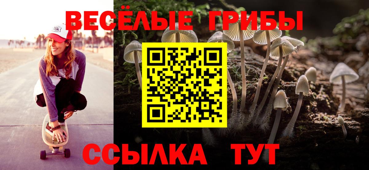 Псилоцибиновые грибы Psilocybine cubensis Реутов