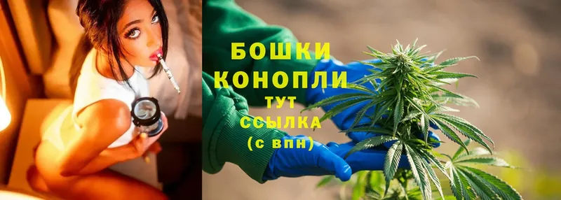 Каннабис White Widow  Реутов 